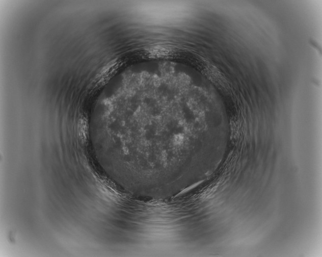 X0000094780648200712071206