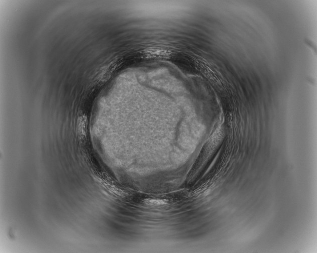 X0000094780649200712071206