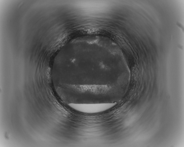 X0000094780650200712071206