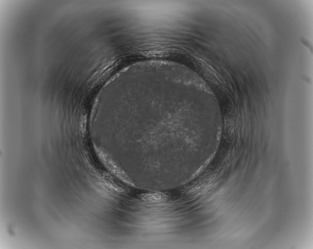 X0000094780652200712071206