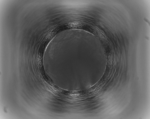 X0000094780653200712071206