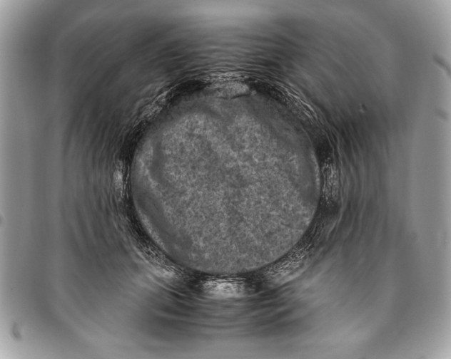 X0000094780655200712071206