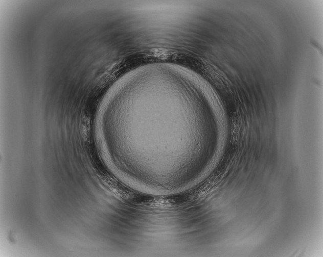 X0000094780656200712071206