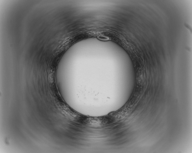 X0000094780658200712071206