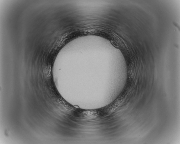 X0000094780660200712071206