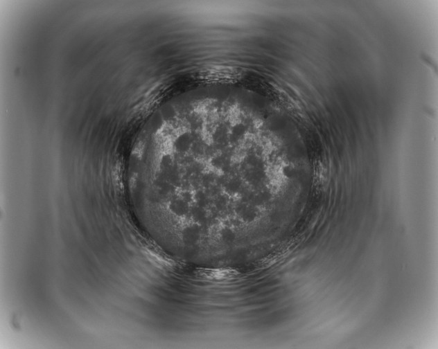 X0000094780663200712071206