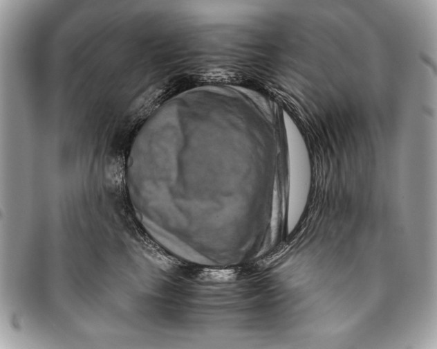 X0000094780665200712071206