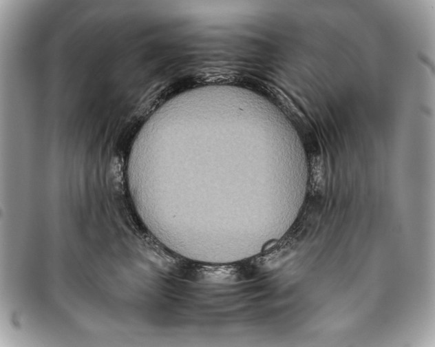 X0000094780667200712071206