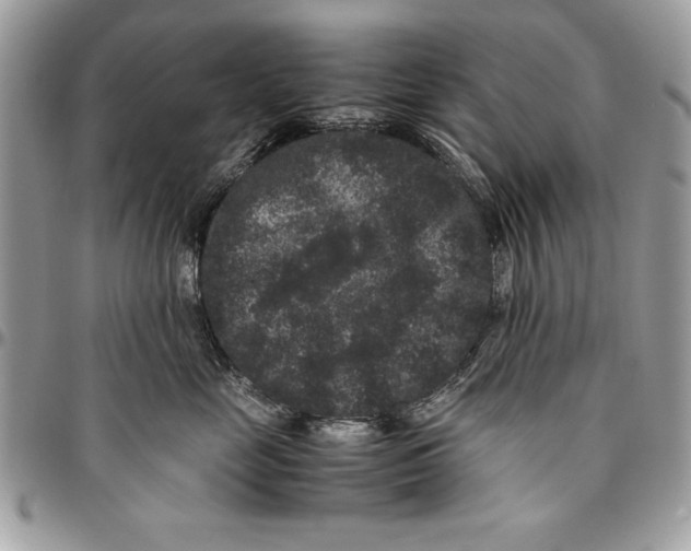 X0000094780669200712071206