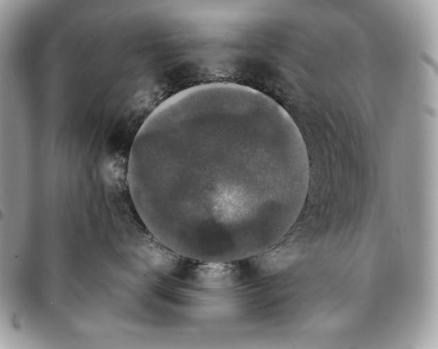 X0000094780672200712071206