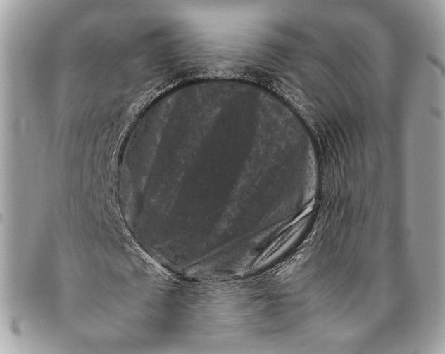 X0000094780673200712071205