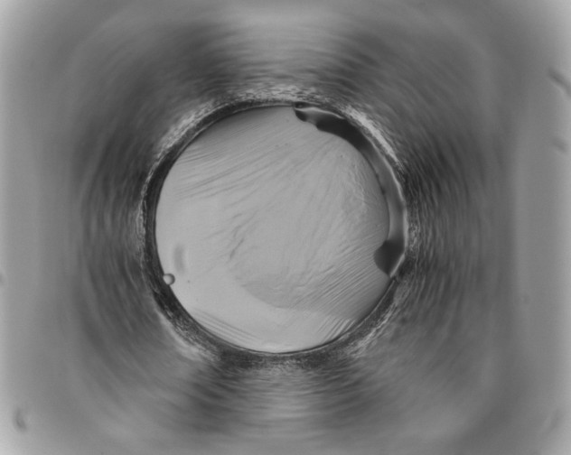 X0000094780674200712071205