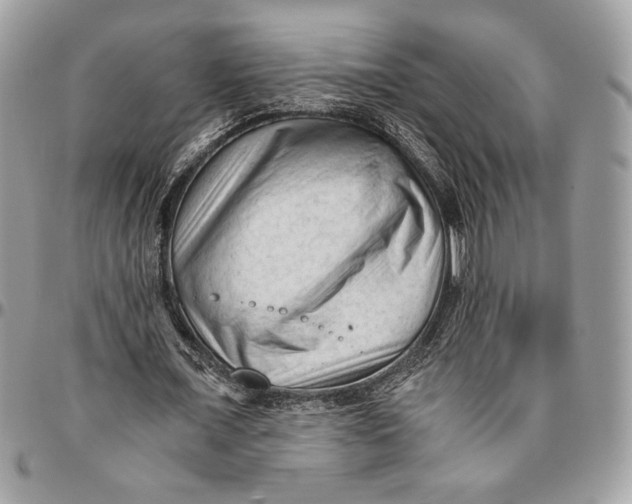 X0000094780675200712071205