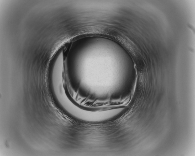 X0000094780676200712071205