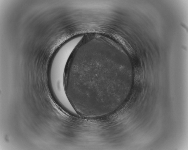 X0000094780677200712071205