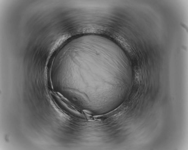 X0000094780678200712071205