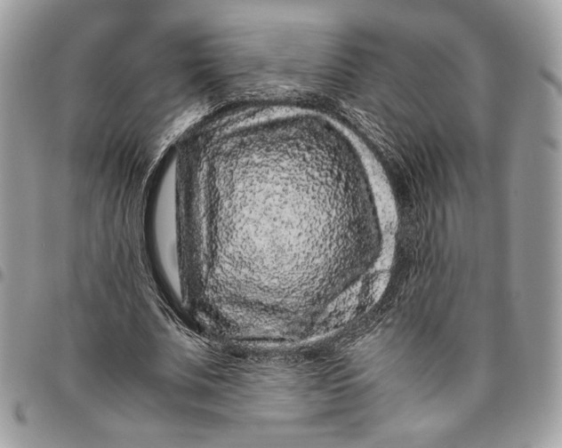 X0000094780679200712071205