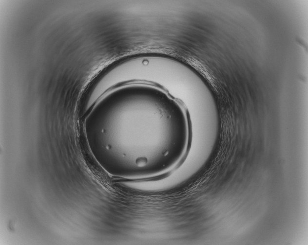 X0000094780680200712071205