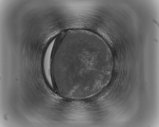 X0000094780681200712071205