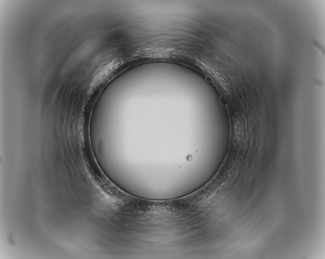 X0000094780682200712071205