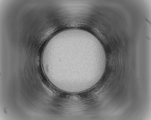 X0000094780683200712071205