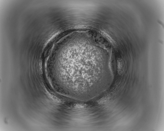 X0000094780684200712071205