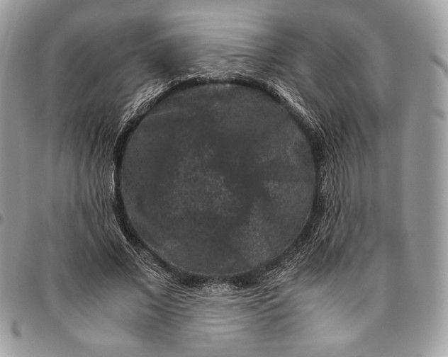 X0000094780685200712071205