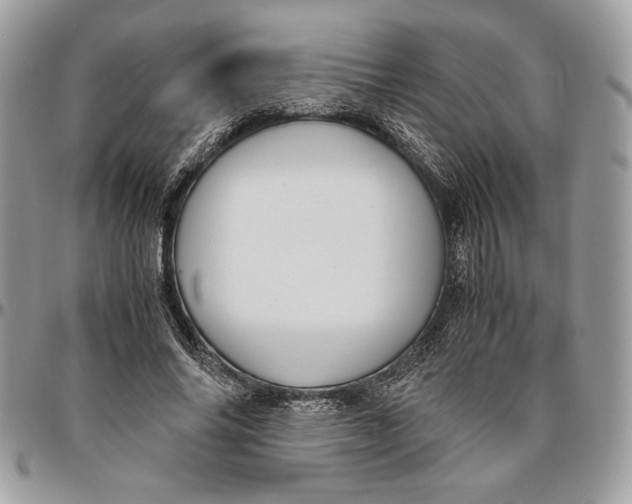 X0000094780686200712071205