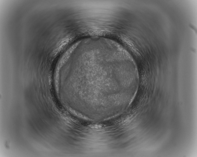 X0000094780687200712071205