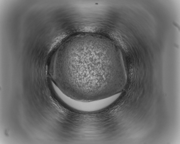 X0000094780688200712071205