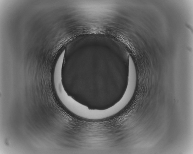 X0000094780689200712071205