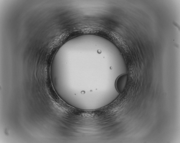 X0000094780690200712071205