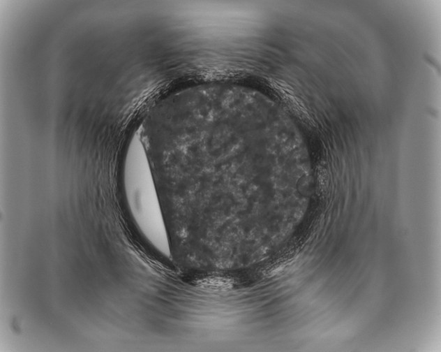 X0000094780691200712071205