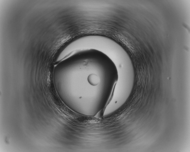 X0000094780692200712071205