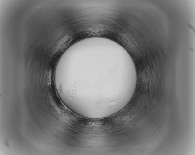 X0000094780694200712071205