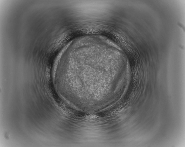 X0000094780695200712071205