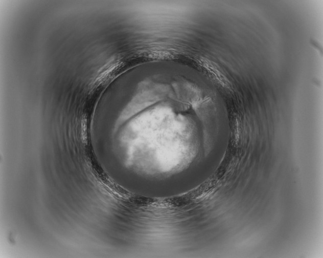 X0000094780696200712071205