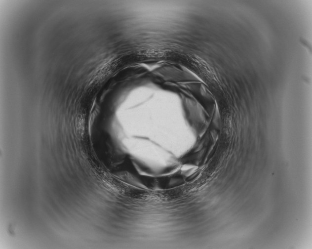 X0000094780697200712071205