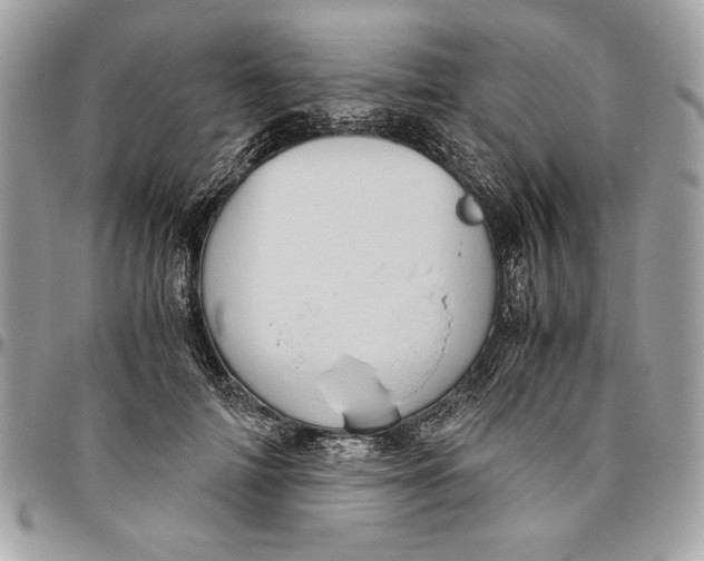 X0000094780698200712071205