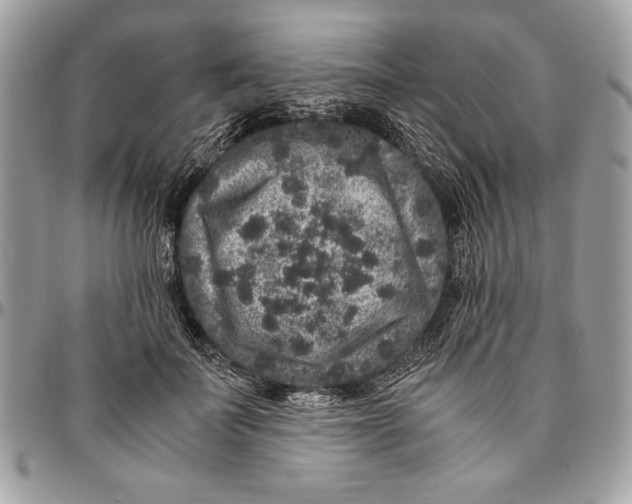 X0000094780699200712071205