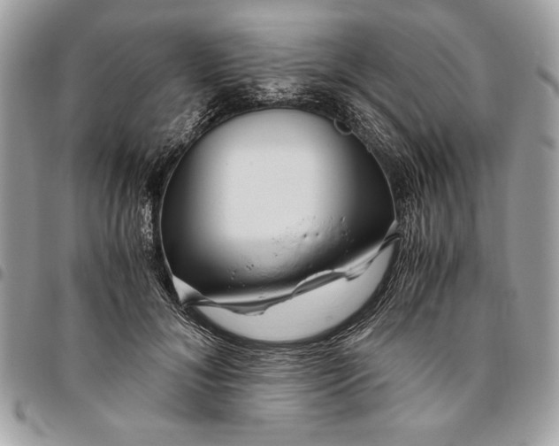 X0000094780700200712071205