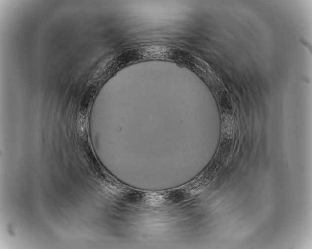 X0000094780701200712071205