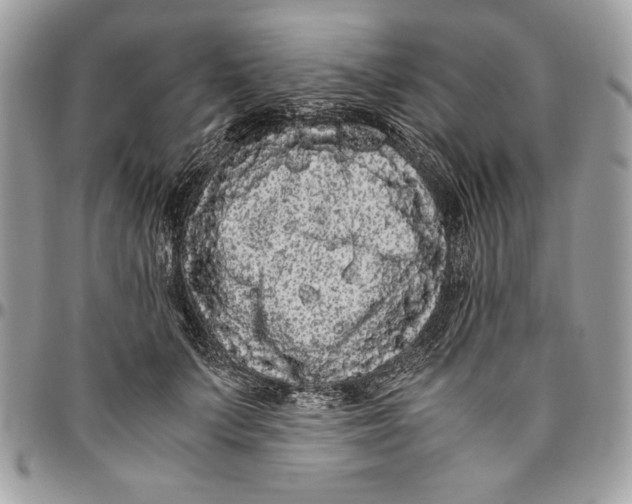 X0000094780703200712071205