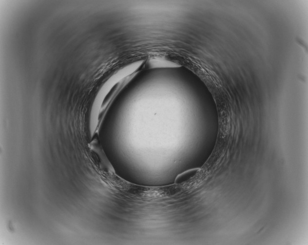 X0000094780704200712071205