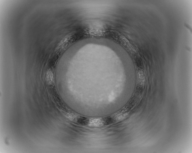 X0000094780705200712071205