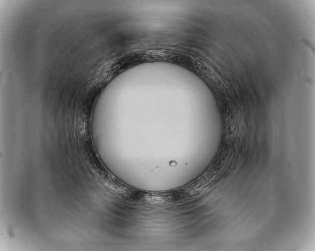 X0000094780706200712071205