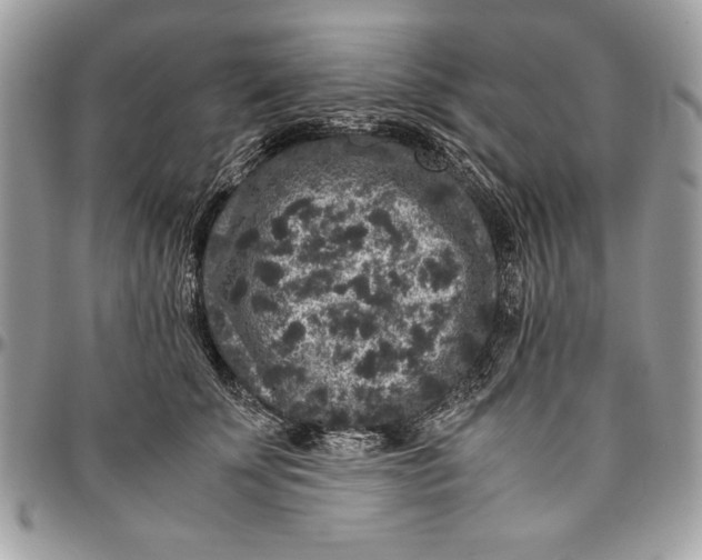 X0000094780707200712071205