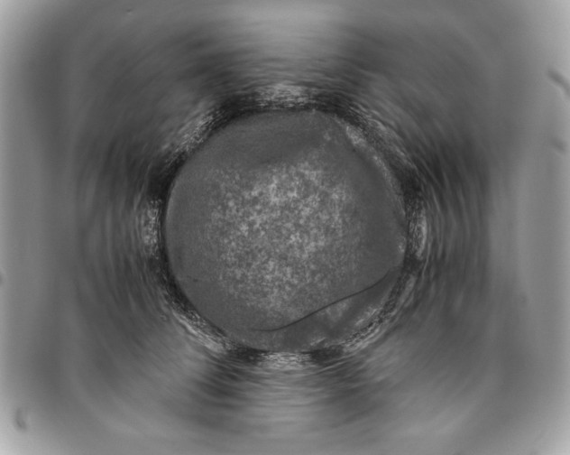 X0000094780708200712071205