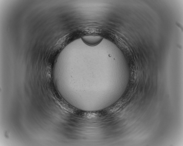 X0000094780710200712071205