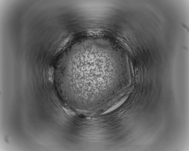 X0000094780712200712071204